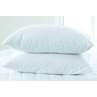 Cotton Enriched Pillows - 4-Pack!