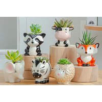 Mini Animal Shape Succulent Flower Pot