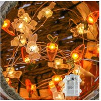 5meters LED Bunny String Lights
