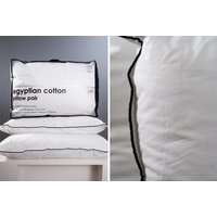 2 Egyptian Cotton Pillows