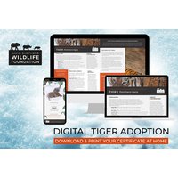 Digital Tiger Adoption Pack with Personalised Certificate & Photo - 3 Options - Support Conservation with David Shepherd Wildlife Foundation - Perfect Gift Experience | Wowcher