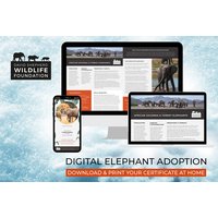 Digital Elephant Adoption Pack - Personalised Certificate, Fact Sheets & Photo - 3 Package Options - David Shepherd Wildlife Foundation - Ideal Gift for Animal Lovers | Wowcher