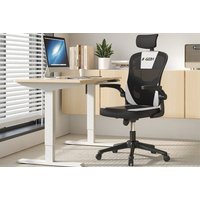 Office Chair with Adjustable Height