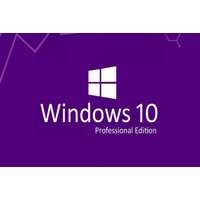 Windows 10 Professional Edition Software License - Digital Download for Windows PC | Wowcher