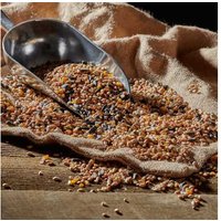 All-Season Songbird-Friendly Bird Food Mix - Nutrient-Rich, Wildlife-Supporting Seed Blend | Wowcher
