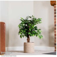 Artificial Ficus Tree - Evergreen Houseplant, 90cm, Realistic Multi-Trunk | Wowcher