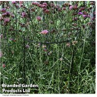 50cm Half Round Metal Plant Support - Weatherproof Garden Stake | Wowcher