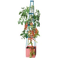 4 Tier Self-Watering Tomato Tower Planter - Durable Vertical Garden System | Wowcher