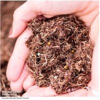 Peat Free Professional Growers Compost 40L - Enriched, Sustainable Mix | Wowcher
