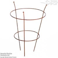 Large Pre-Rust Corten Steel Peony Plant Frame - Weatherproof Support | Wowcher