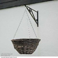 Pink Shockwave Flowering Hanging Basket - Hardy Annuals for Summer Colour | Wowcher