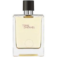 Hermès Terre D'Hermès Eau de Toilette for Men 100ml - Luxury Woody Citrus Fragrance | Wowcher