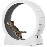 30" Modern Wooden Cat Exercise Running Wheel with Brake - Indoor Cat Treadmill, White Finish | Wowcher