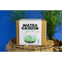 PRICE DROP! DIY Mini Water Garden Kit - Gift Republic | Wowcher