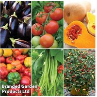 Lucky Dip Potted Vegetable Plants - Mixed Edible Varieties, 9cm Pots | Wowcher