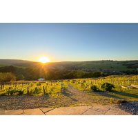 Breakfast, Vineyard Tour & Wine Tasting For 2 or 4 - Holmfirth Vineyard | Things To Do