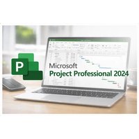 Microsoft Project Professional 2024 Software | Wowcher