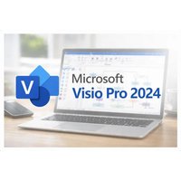 Microsoft Visio Professional 2024 Licence | Wowcher