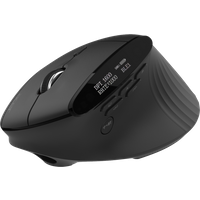 Acer Souris verticale Smart Fit