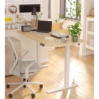 FlexiSpot E7-PRO Upgraded Standing Desk Height Adjustable Desk Standup Desks for Home Office Gaming White