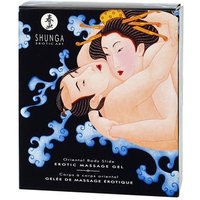 Shunga Erotic Massage Gel Exotic Fruits Pack