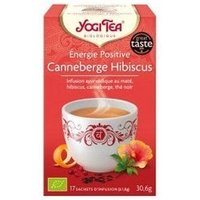 Yogi Tea Infusion Ayurvédique Énergie Positive Bio 17 sachets
