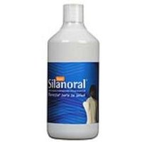 Mca Productos Naturales Silanoral Basic 1L