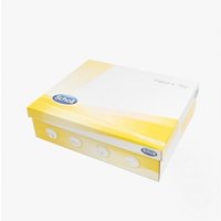 Scholl Calzado Ch12 Hoxton Marrón T37 1 par