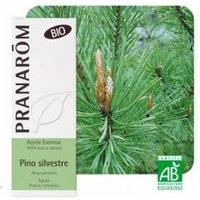 Pino Silvestre Bio 10 ml Aceite Esencial de Innobiz | Natural Doctor