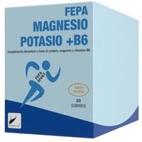 Fepadiet Fepa Sport Magnesio + Potasio + B6 Naranja 20 uds | Natural Doctor