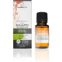Terpenic Eucalyptus Globulus 10 ml