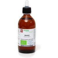 Fitomedical Brugo Glicerina Macerada Bio 100ml