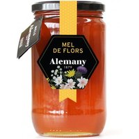 Alemany Miel Poliflora 980g | Natural Doctor