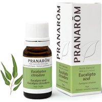 Pranarôm Aceite Esencial de Eucalipto Azul 10ml | Natural Doctor