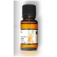 Verbena Exot Bio (may Chang) 10 ml A. Esencial Terpenic de Innobiz | Natural Doctor