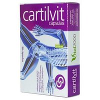 Vital 2000 Cartilvit Forte 60caps | Natural Doctor