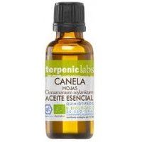 Terpenic Labs Canela Hojas 30 ml | Natural Doctor