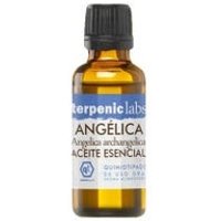 Terpenic Labs Angelica Raiz 30ml | Natural Doctor