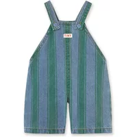 Striped Denim Overalls