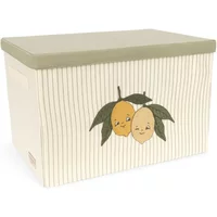 Lemon storage box