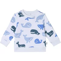 Sweat Whales