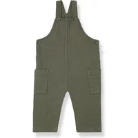 Jan overalls