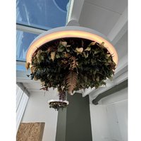 Deesup Paar Gavin Silence Blatt Pendelleuchten von Andrea Lanaro