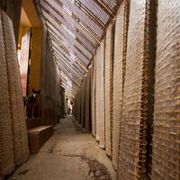 Photography Tour to Tho Ha - The rice paper making village