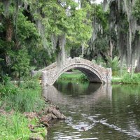 A Walk in the Park: City Park New Orleans Audio Tour