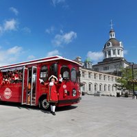 Trolley City Tour of Kingston