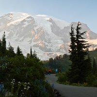 Best of Mount Rainier National Park from Seattle: All-Inclusive Small-Group Tour