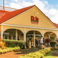 Best of Oahu: Pearl Harbor & Oahu Circle Island Tour from Waikiki
