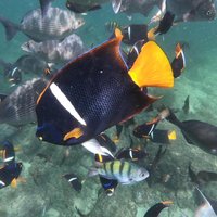 Full-Day Experience in Banderas Bay