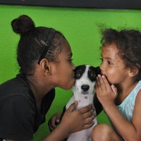 Shelter Visit & Tour